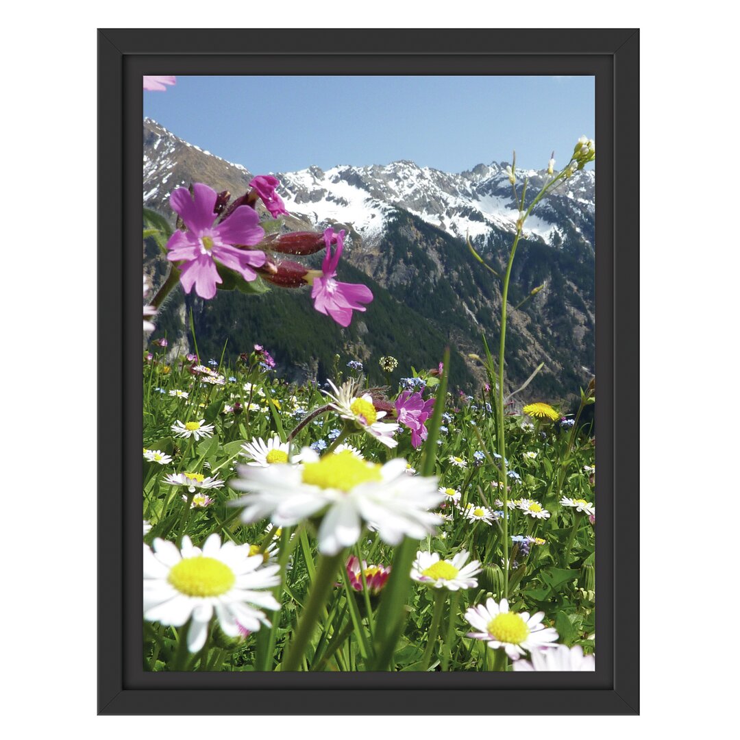 Gerahmtes Wandbild Wunderschöne Blumen Alpenwiese