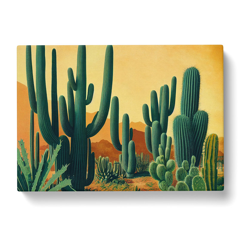 Cactus In The Desert - Wrapped Canvas Painting, 50cm H x 76cm W x 3cm D