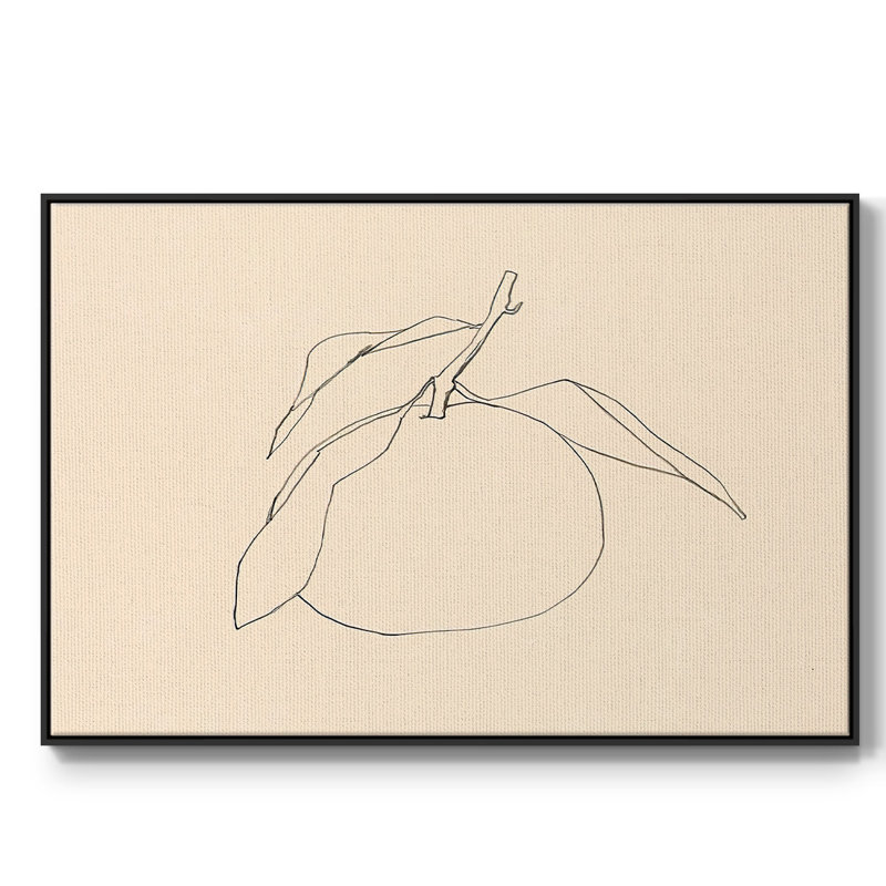 Citrus Contour I, reproduction d'art sur toile, H 17 po x l 25 po x P 2 po, Encadrement argenté