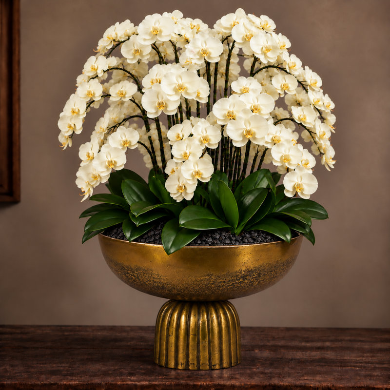 Orchid Arrangement in Hamilton Footed Bowl, Blue
