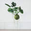 Faux Monstera Plant in Kokedama Hanger