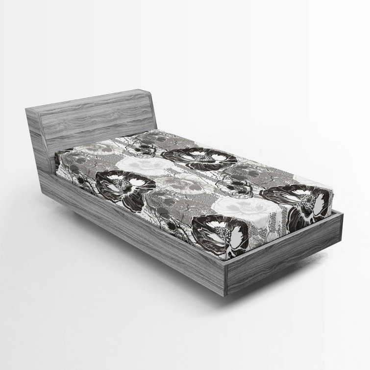 Drap-housse Ambesonne