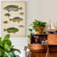 Reproduction d’art sur toile tendue « ichthyology II »-473333893
