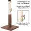 Grattoir avec jouet suspendu Petmaker