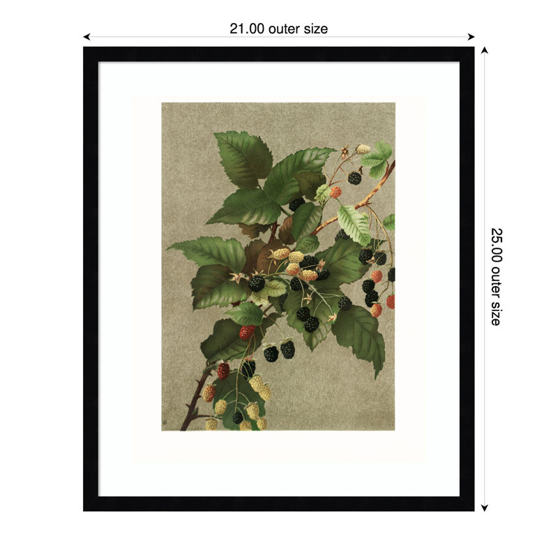 Impression sur bois encadrée «Blackberries» par Ellen Thayer Fisher