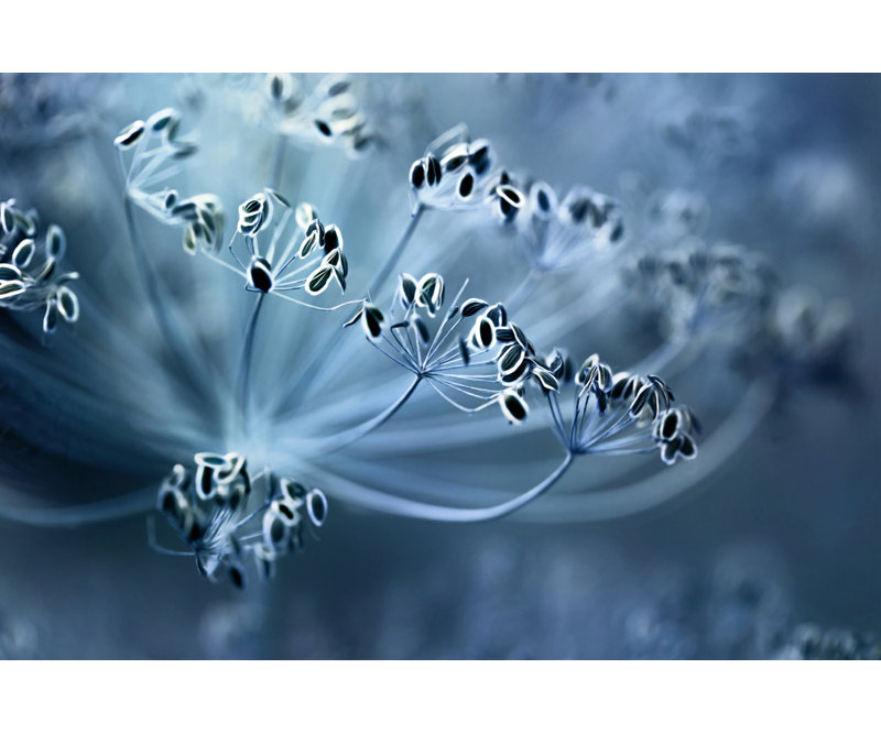 Wrapped Canvas Print, 50.8cm H x 76.2cm W