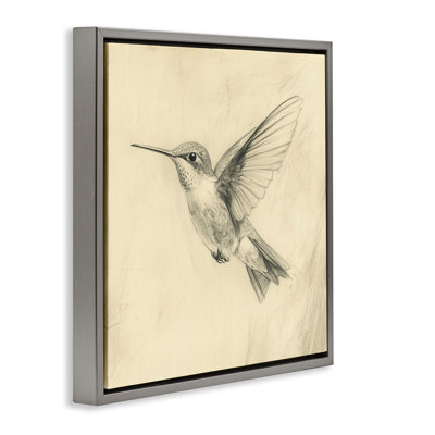 Cadre flottant rétro avec croquis de colibri, design par Petal Prints Design