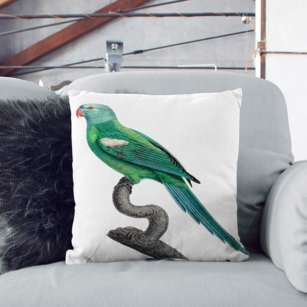 Shouldered Amazon Macaw Parrot by F. Levaillant Cushion with Filling