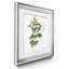 «Kitchen Garden I», ensemble de 2 reproductions d'art encadrées-2054049730-2054049729-2054049732