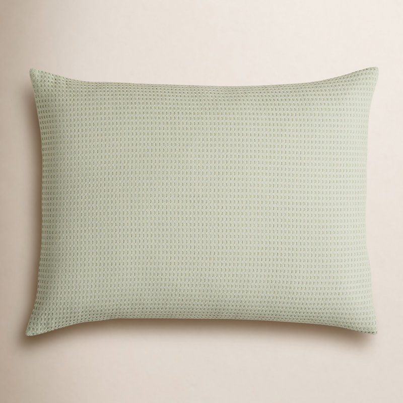 Ensemble de taies décoratives en coton Felix, Standard, Sauge