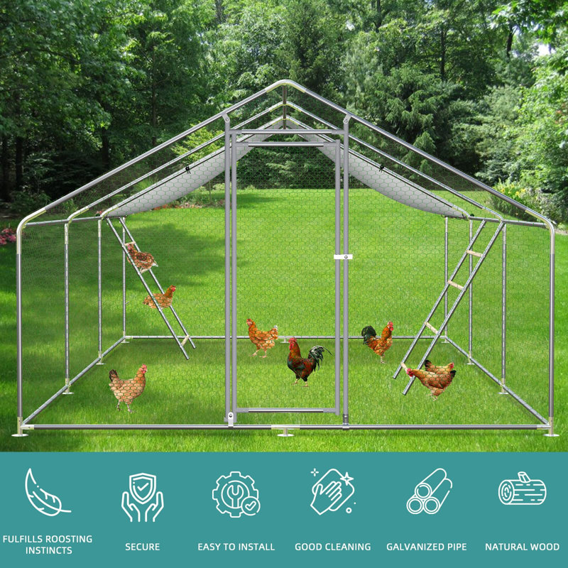 Perchoir Tucker Murphy Pet ™, poulailler robuste pour poules de basse-cour, installation et nettoyage faciles, grande échelle de perchoir pour poulailler amusant, matériau galvanisé et bûche