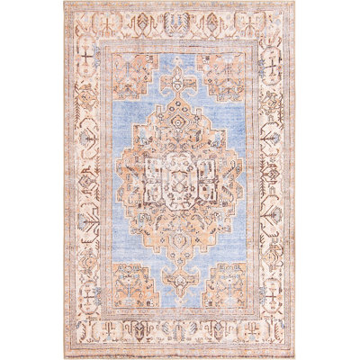 Mcclamma Chenille Oriental Indoor Rug