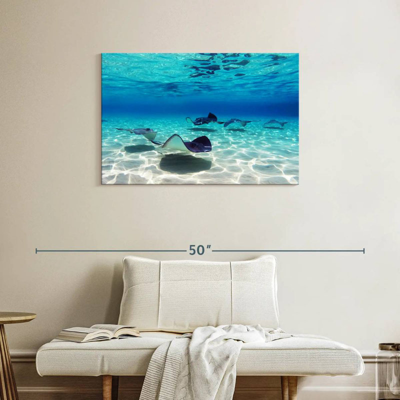 Crowle Grand Cayman Stingrays, 24" H x 36" W