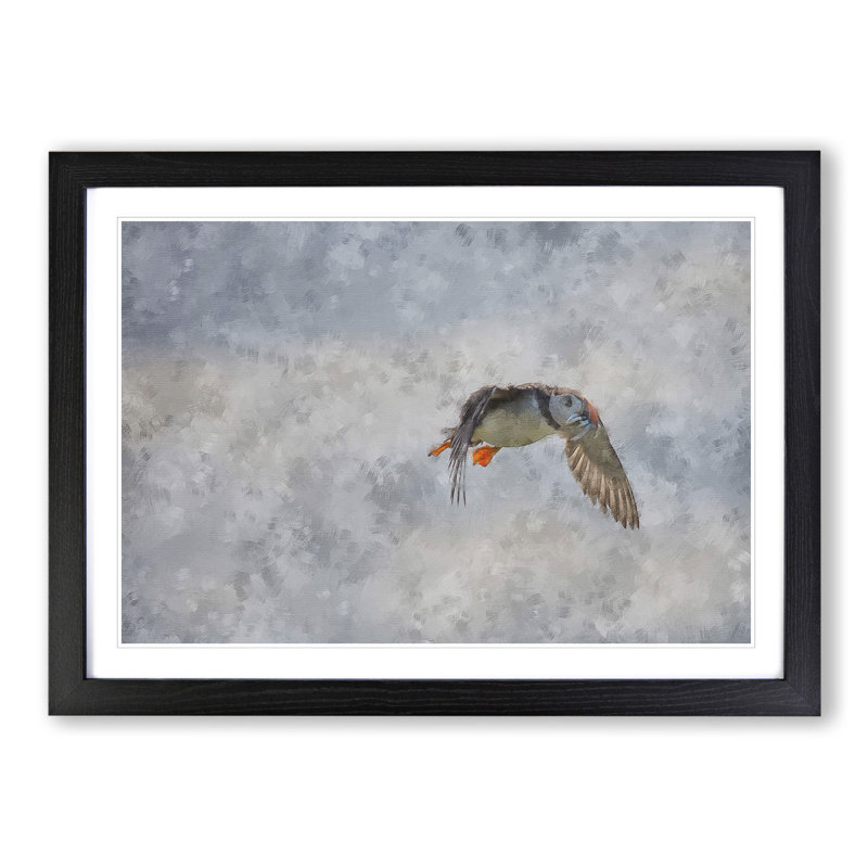 Atlantic Puffin Birds Vol.5 - Picture Frame Graphic Art, 48cm H x 65cm W x 2cm D, Black Framed