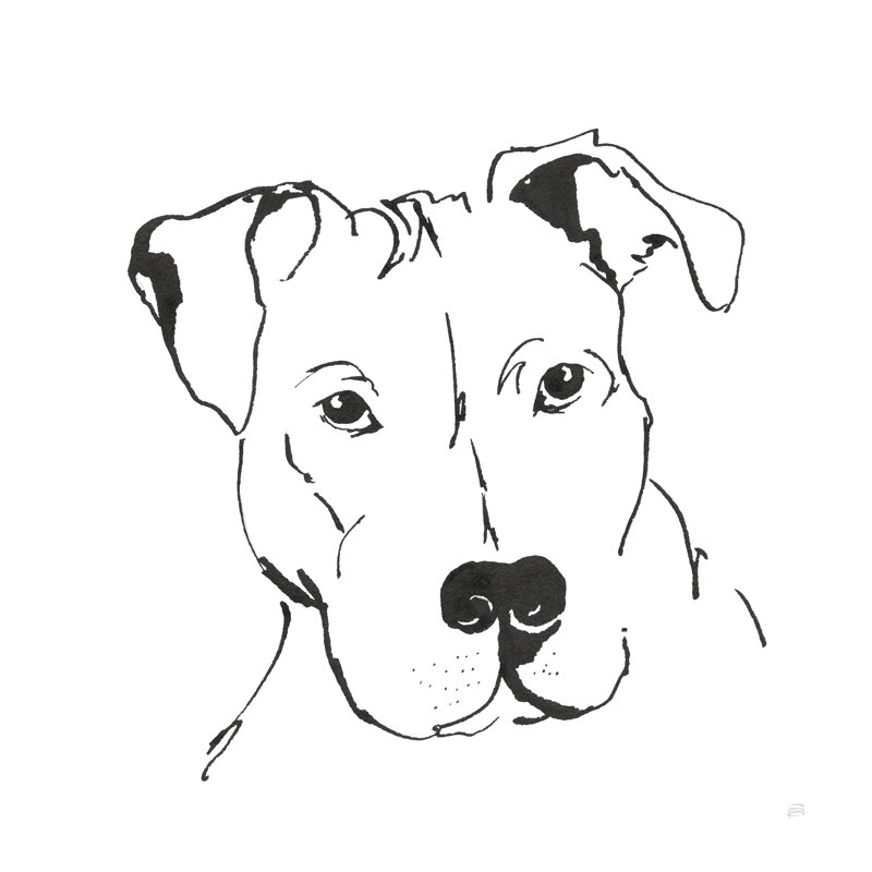 «Line Dog Pitbull II» par Chris Paschke, reproduction d'art sur toile tendue, H 12 po x l 12 po