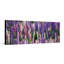 «Lupin Field in Bloom», art mural sur toile panoramique-129922629