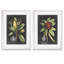 «Royal Foliage III» par Vincent Van Gogh - cadre photo 2 pièces, reproduction d'art-124441027-124441028-124426969
