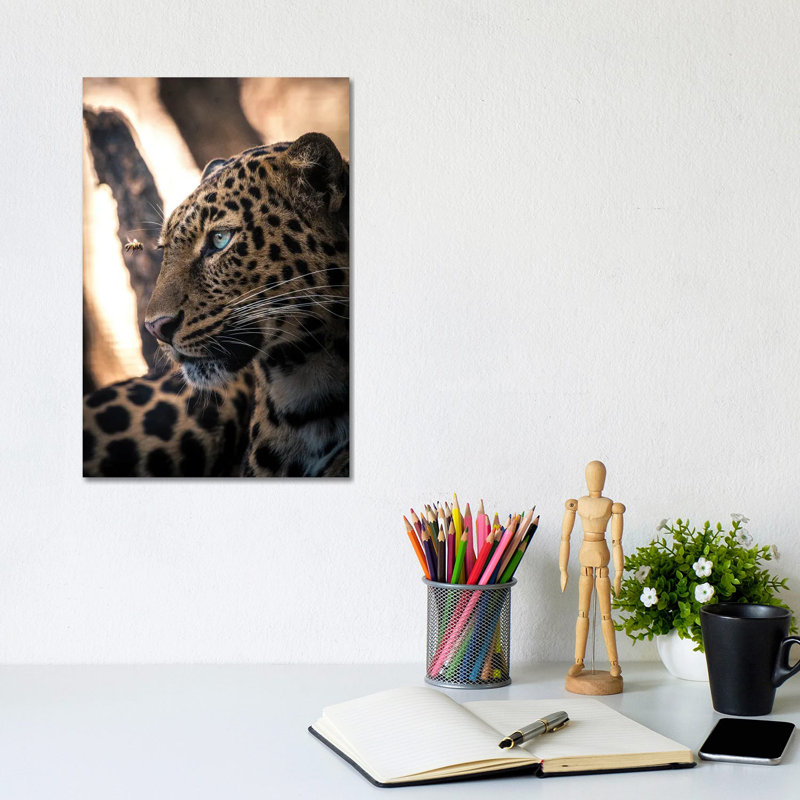 Leo View by Milos Karanovic - Wrapped Canvas Print, 20.32 cm H x 30.48 cm W