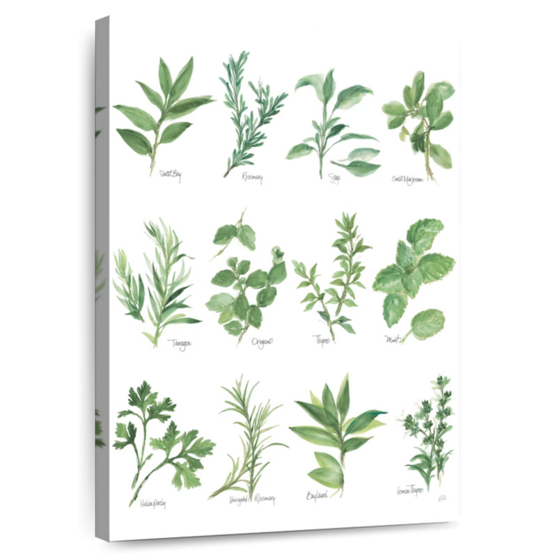 Harnek Herb Chart, 12" H x 8" W