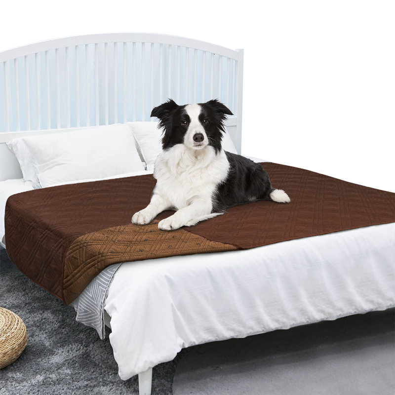 Polyester Pet Blanket, 68" x 82", Brown