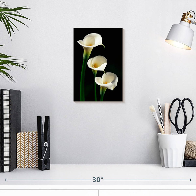 Harnek Three White Calla Lilies, 12" H x 8" W