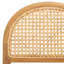 Laylie Rattan And Leather Counter Stool-1908221452