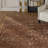 Kleinschmidt Trellis Brown Area Rug-26348446