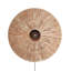 Alvada Plug-in Flush Mounted Sconce