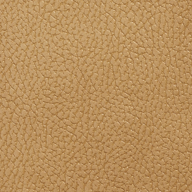 Emu lisse, Brun clair