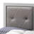 Elegant Silver Champagne King Bed