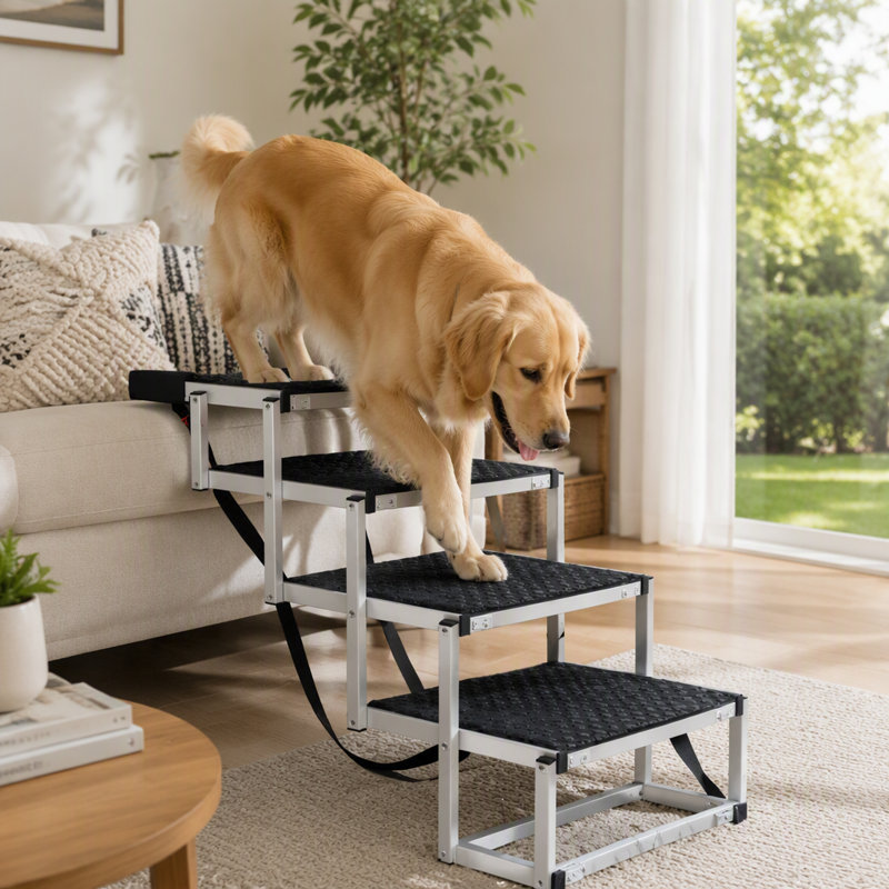 Rampe pliable pour chien avec escalier pour animaux de compagnie et surface antidérapante