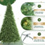 10 arbres de Noël