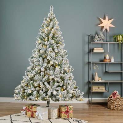 Lighted Trees & Branches