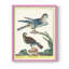 «Pastel Birds III», reproduction encadrée - bois massif-1390408887-1390408883