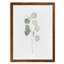« mou eucalyptus branch i » par paul cezanne-cadre photo, reproduction d’art-693925080-693925085-693953563