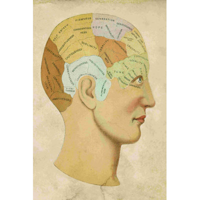 Phrenologie rétro
