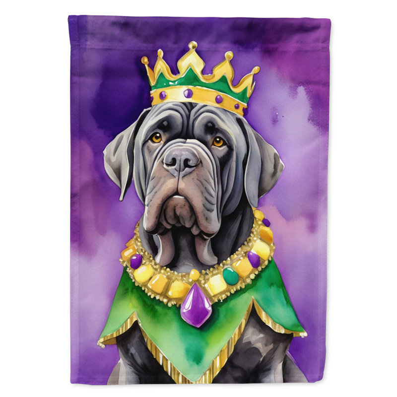 Double Sided 15.5'' H x 11.25'' W Polyester Mardi Gras Garden Flag