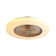 Ailn Ceiling Fan with LED Lights