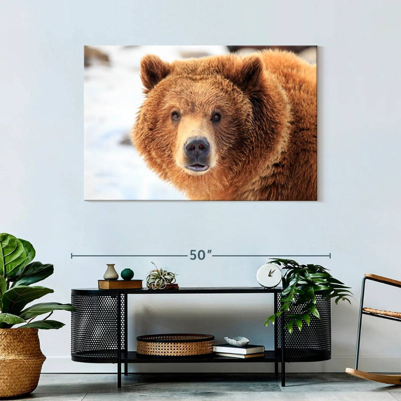 Grizzly Bear Stare, 30" H x 45" W