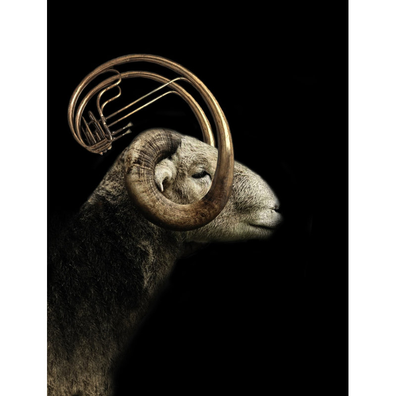 Wrapped Canvas Print, 50.8 cm H x 76.2 cm W