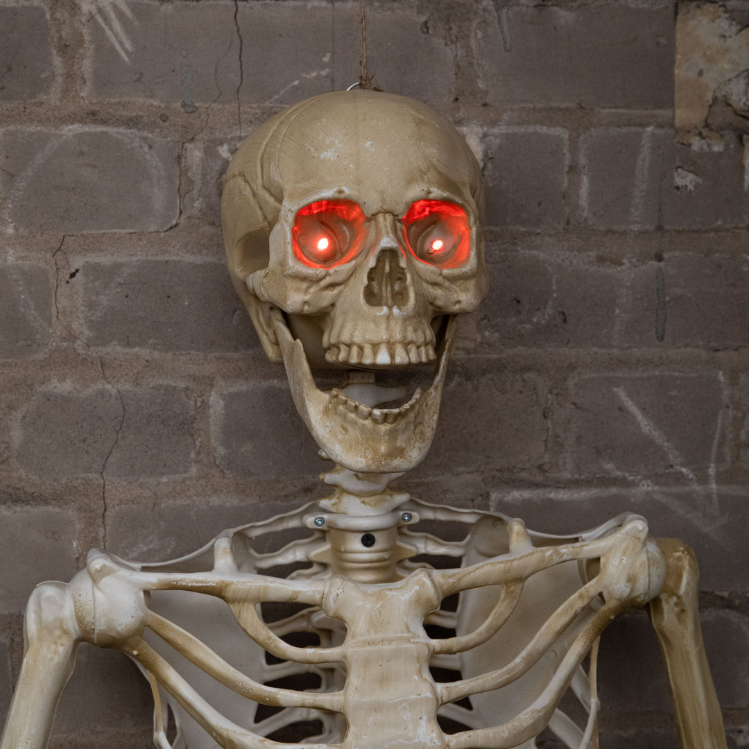 Samuel Alexander - Halloween Skeleton - 5ft - Battery Powered - Poseable Joints - Red LEDs - Image 7