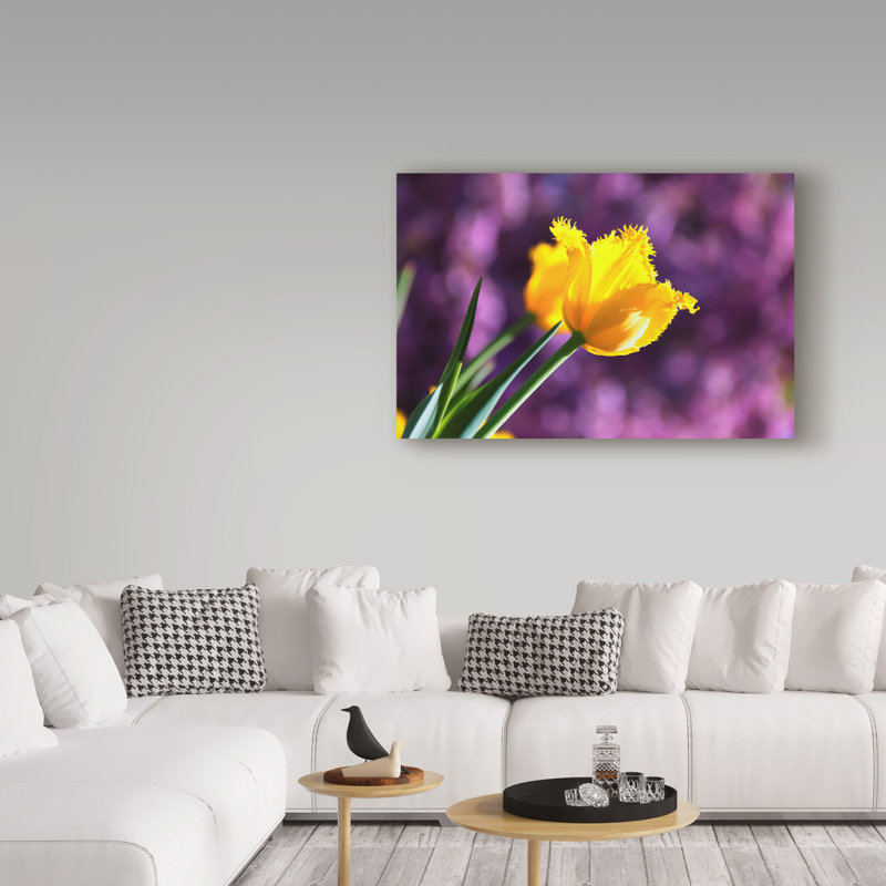 Molloy «Yellow Tulip Soft Mauve», reproduction de photo sur toile tendue, H 30 po x l 47 po
