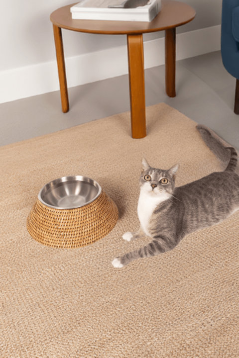 Pet Collection