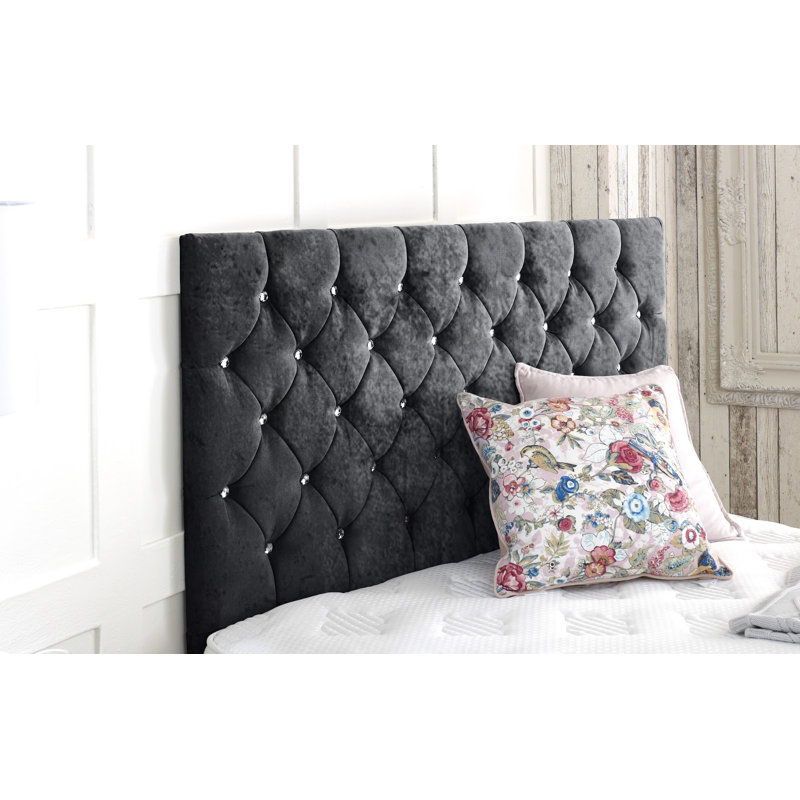 Womack Upholstered Velvet Headboard, Superking (6'), Black