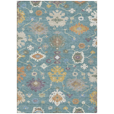 Machine Washable Indoor/Outdoor Chantille ACN2532 Traditional Rug