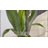 16.75" Modern Urn Outdoor Planters, Flower Pots for Outdoor Indoor Plants, 2-in-1 Design, Cobalt Blue-839981564