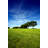 Summer Landscape by Duncan1890 - No Frame Art Prints on Canvas-972837381