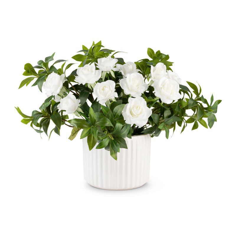 Functional Beauty Realtouch Rosebush Arrangement