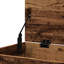 Coffre de rangement en bois d'ingénierie 33,1 x 16,5 x 18,1 po Vidaxl-113944166
