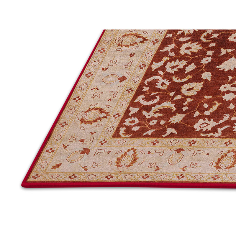 Nolina Oriental Indoor Rug, Rectangle 5' x 7'